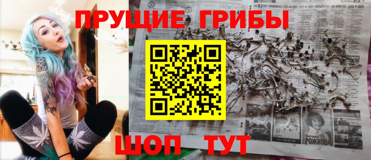 Галлюциногенные грибы MAGIC MUSHROOMS  Вход с VPN  Грозный  цена   Псилоцибиновые грибы Cubensis 